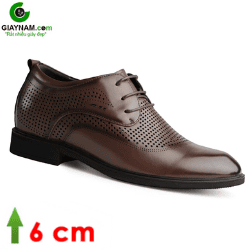 Giày cao nam đục lỗ hàng cao cấp GOG; GC0920579N